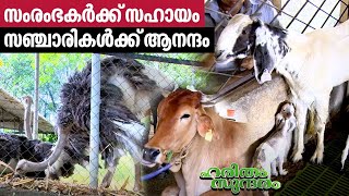 കൊല്ലം കുര്യോട്ടുമലഫാം വിശേഷങ്ങൾ  Kuriyottumala HiTech Farm  Haritham Sundaram EP 474 [upl. by Ailaht562]