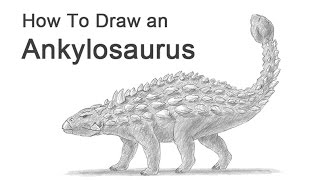 How to Draw an Ankylosaurus [upl. by Sarah]