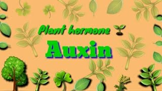 AuxinPlant hormone 🌱Physical effect and Application Learn easily in Hindi amp English both 😁 [upl. by Johnstone768]