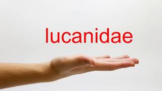 How to Pronounce lucanidae  American English [upl. by Gerianne]