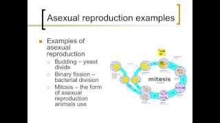 An introduction to cell reproduction [upl. by Veno]