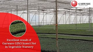 Success Story of Madhya Pradesh Vegetable Nursery Grower with GIN3 Insect Net [upl. by Otilrac]