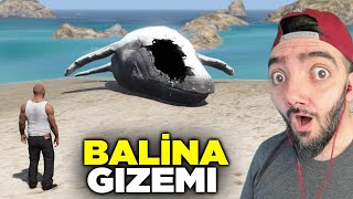 KAYBOLAN IKIZ BALINAYI BULDUM BAKIN IÇINDEN NE ÇIKTI 😲  GTA 5 MODS [upl. by Rexford395]