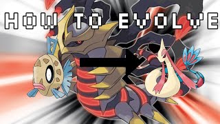 How To Evolve Feebas Into Milotic In Pokemon Diamond Pearl And Platinum Versions [upl. by Eniger]