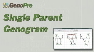 Single Parent Genogram in GenoPro [upl. by Hancock]