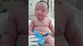 SUPER CUTEST BABY 💛💛 shorts video trending youtube shortvideo baby love [upl. by Netsirc]