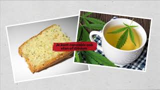 7 dingen die je moet weten over cannabis [upl. by Shantee]