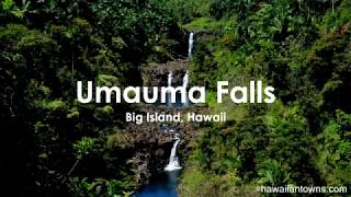 ハワイ島 ウマウマ・フォールズ  Umauma Falls amp Zipline eXperience Hawaii [upl. by Nauqal]