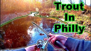 Fall Creek Fishing For Wild Trout In Philadelphia Pennsylvania [upl. by Aryt876]