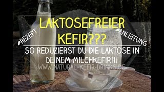 Laktosefreier Kefir So reduzierst Du die Laktose in Deinem Milchkefir Einfaches Rezept [upl. by Odnanref75]