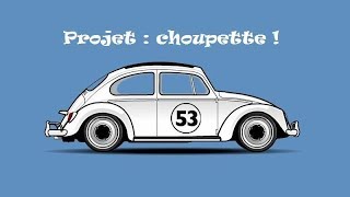 Projet  Choupette [upl. by Cullie]