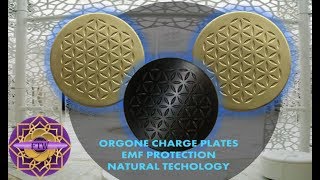 About our orgone charge plates for food preservation and ice tests [upl. by Ikkaj]