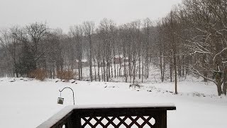 Snow Cam From My Backyard [upl. by Nobie]