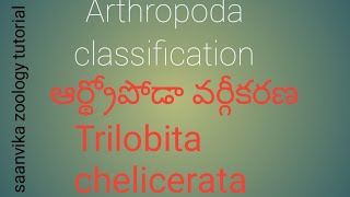 Arthropoda classification NEET EAMCET Bilingual  TeluguEnglish [upl. by Nosac]