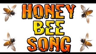 🐝 Honey Bee Song 🐝 Childrens Song 🐝 Bee Song 🐝 Jon Brooks Music [upl. by Morville928]