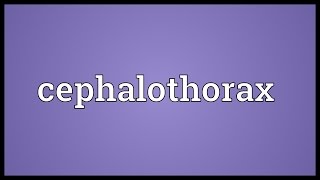 Cephalothorax Meaning [upl. by Letsyrk115]