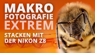 Makrofotografie extrem  Stacken mit der Nikon Z8 – Fotostories [upl. by Belden886]