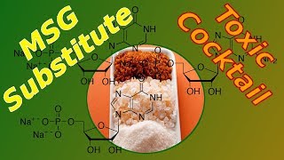 What is Disodium Inosinate and Guanylate  MSG Substitute  Food Label Ingredients [upl. by Naitsyrk658]