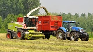 Loonwerken Van Hulle  Claas Jaguar 890 Speedstar  gras hakselen [upl. by Ingrid]