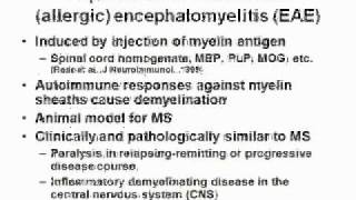 Multiple sclerosis axonal damage part 1 EAEwmv [upl. by Samuela]