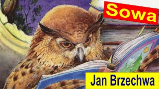 Jan Brzechwa – Sowa  wiersze dla dzieci  czytamy po polsku [upl. by Larok975]