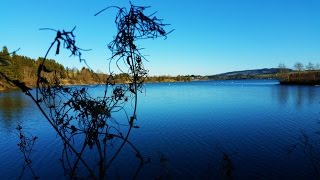 Allgäu Lechbruck See Landscape Sea 4K Germany [upl. by Haseefan]