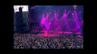 The Offspring  Want You Bad Live Best Performance HD [upl. by Broida199]