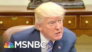 Language Expert Donald Trumps Way Of Speaking Is Oddly Adolescent  The 11th Hour  MSNBC [upl. by Lrat]