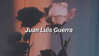 Te regalo una rosa letra lyricsJuan Luis Guerra [upl. by Inavoig924]