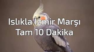 Islıkla İzmir Marşı  Sultan Papağanı İzmir Marşı Eğitimi  Tam 10 Dk [upl. by Arbrab534]