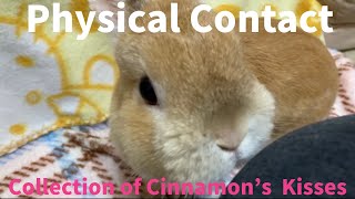 Physical contact collection of Cinnamons Kisses [upl. by Cohe]