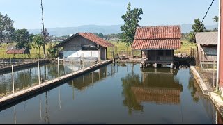 Bikin Takjub Pemandangan Alam yang Indah dan Air Melimpah di Kampung Kancra [upl. by Alauqahs130]