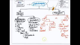 Approach to Lymphadenopathy [upl. by Monty]