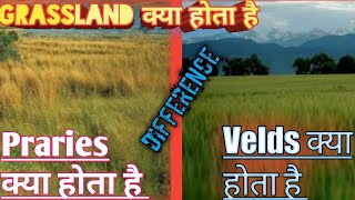 Difference between Prairies and Velds  What is Grassland [upl. by Dagall]