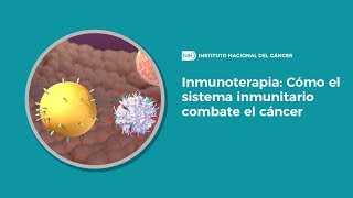 Inmunoterapia Cómo el sistema inmunitario combate el cáncer [upl. by Haimehen]