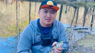 Trout fishing at Cherokee NC KOA [upl. by Bellda]