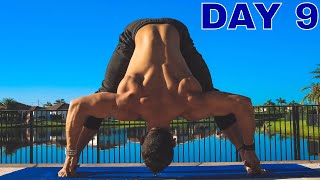 FULL BODY FLEXIBILITY YOGA ROUTINE 10 Days Yoga Challenge Day 9 [upl. by Ailehpo]