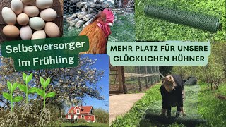 Selbstversorger im Frühling  Ein neuer Freilauf für unsere glücklichen Hühner [upl. by Nnyliak]