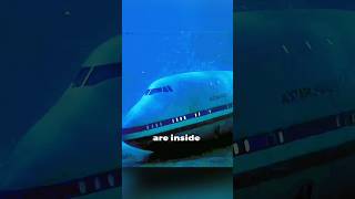 This plane with passengers sank into the ocean😱 shorts viral movies cinemarecap [upl. by Jammal656]