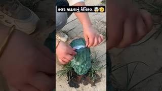 કલર કાઢવાનું કેમિકલ 🤯Removing Color with Chemicals in Seconds shortsfeed shorts gujarati facts [upl. by Benedic191]