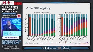 The 6th Delta Hematology Conference ‘Mosaic of the Hematology’11 November 2021 [upl. by Romonda512]