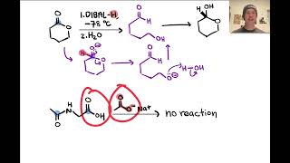 Acylations of Nucleophiles  LTQ 71 Spring 2024 [upl. by Means605]