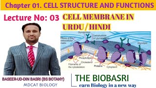 V 12  Cell membrane  structure amp composition  fluid mosaic model in Urdu  Hindi [upl. by Ahsat]