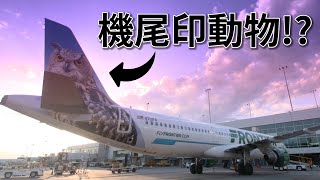 機尾印動物的航空公司 背後原因有點暖！ [upl. by Benoite]