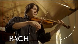 Bach  Violin Partita no 2 in D minor BWV 1004  Sato  Netherlands Bach Society [upl. by Stromberg292]