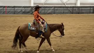 Ranch Riding AQHA Pattern 15 [upl. by Kcyrred]