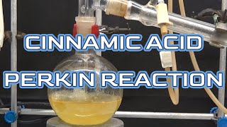 CINNAMIC ACID PERKIN REACTIONncchem [upl. by Yelrihs]