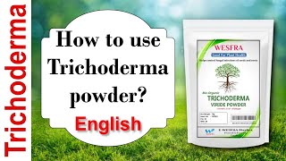 How to use Trichoderma powder English [upl. by Ihcekn]