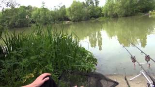 FRAMFIELD PARK FISHERIES UCKFIELD E SUSSEX [upl. by Kentigera]