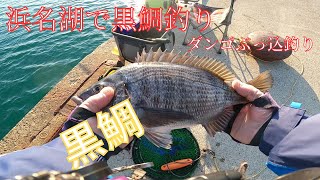 浜名湖内でクロダイ狙いのダンゴぶっ込み釣り [upl. by Nonnad]